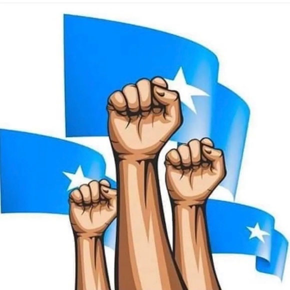 Meet your Posher, Mohamed - Picture 1 of 1